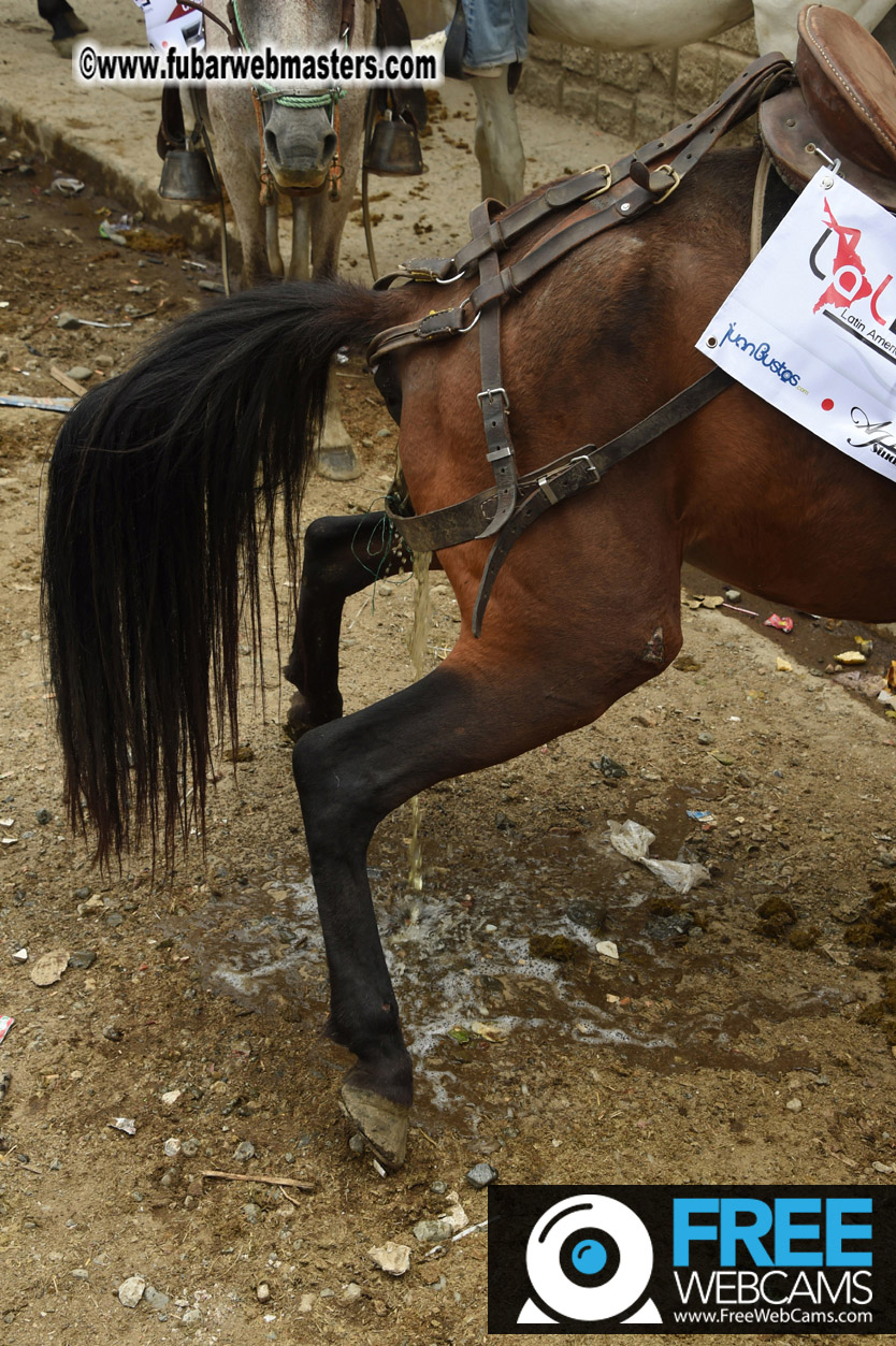 Horseback Riding Colombian style tour