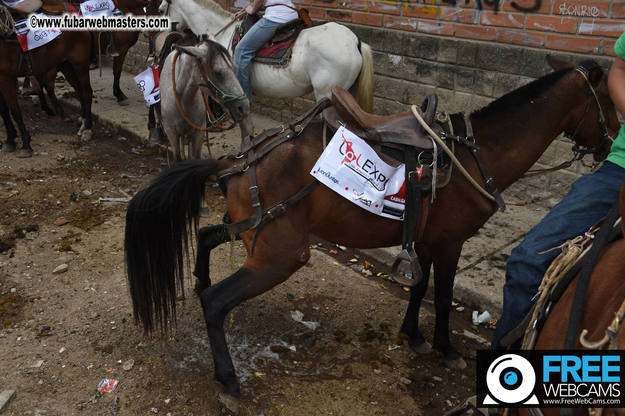 Horseback Riding Colombian style tour