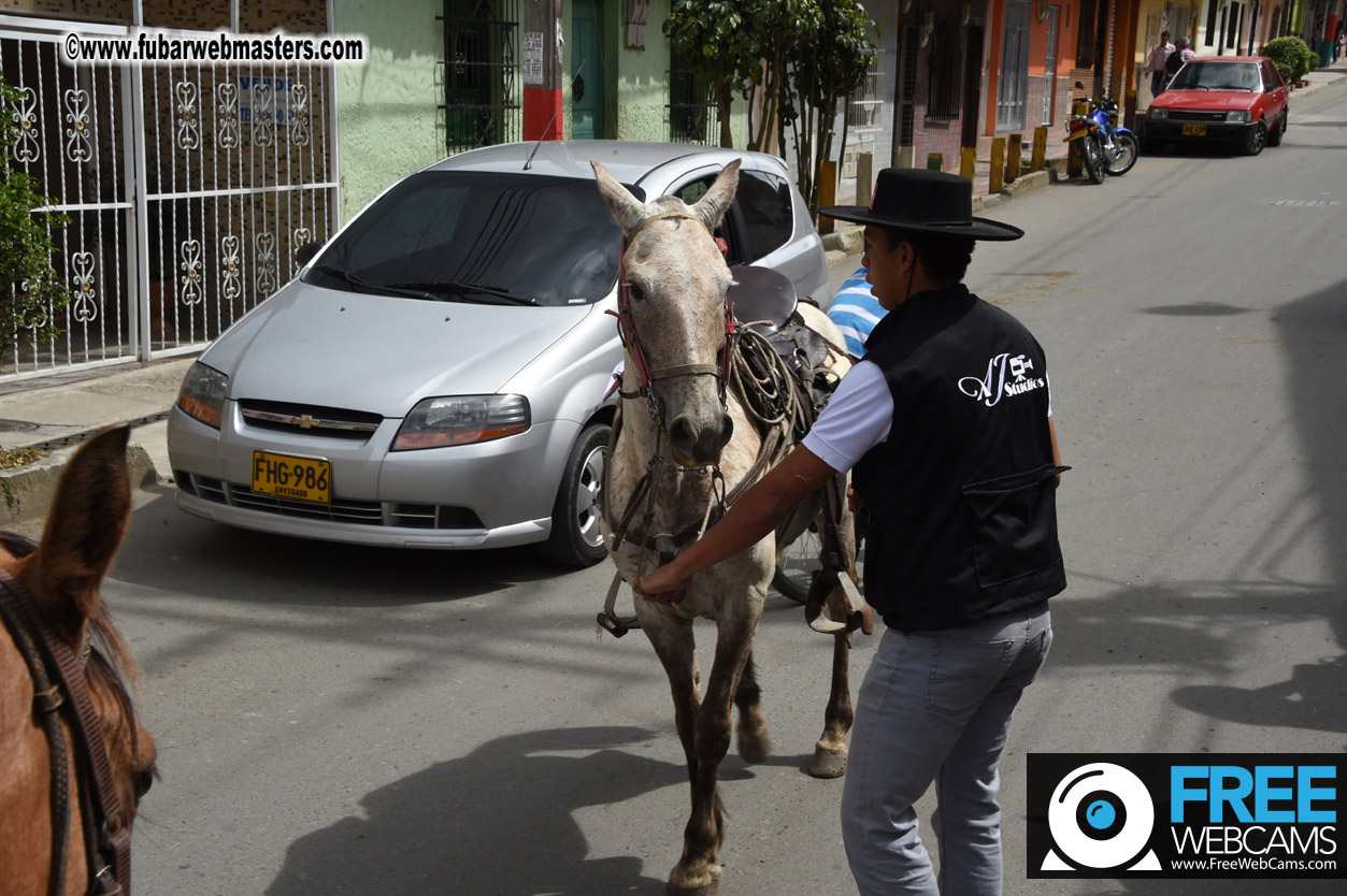 Horseback Riding Colombian style tour