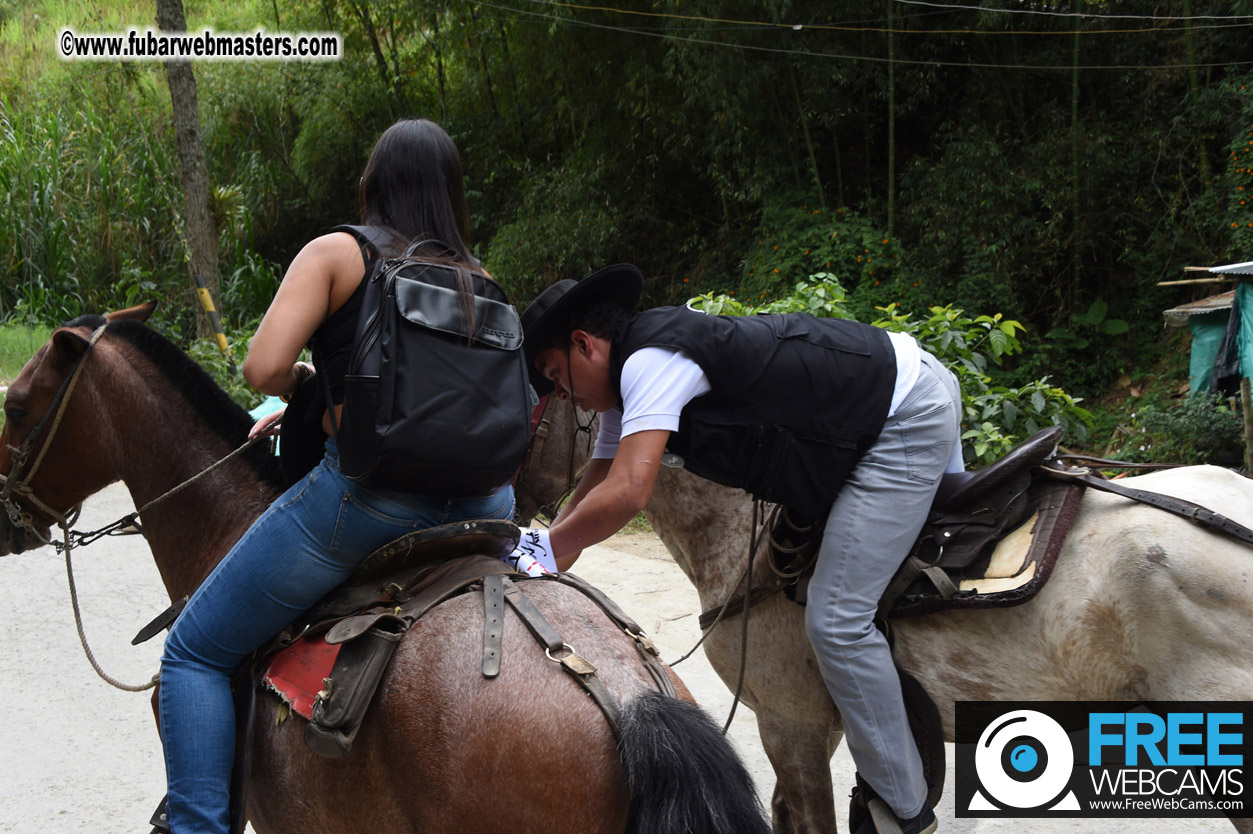 Horseback Riding Colombian style tour