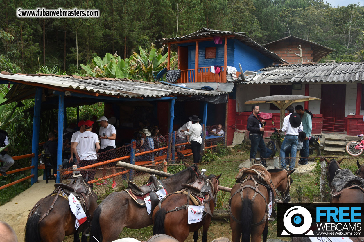 Horseback Riding Colombian style tour
