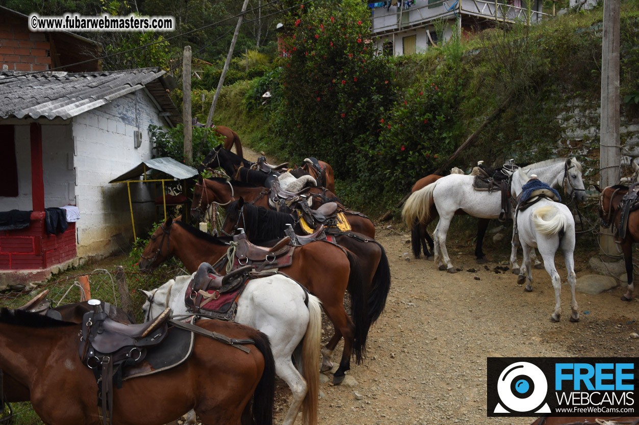 Horseback Riding Colombian style tour