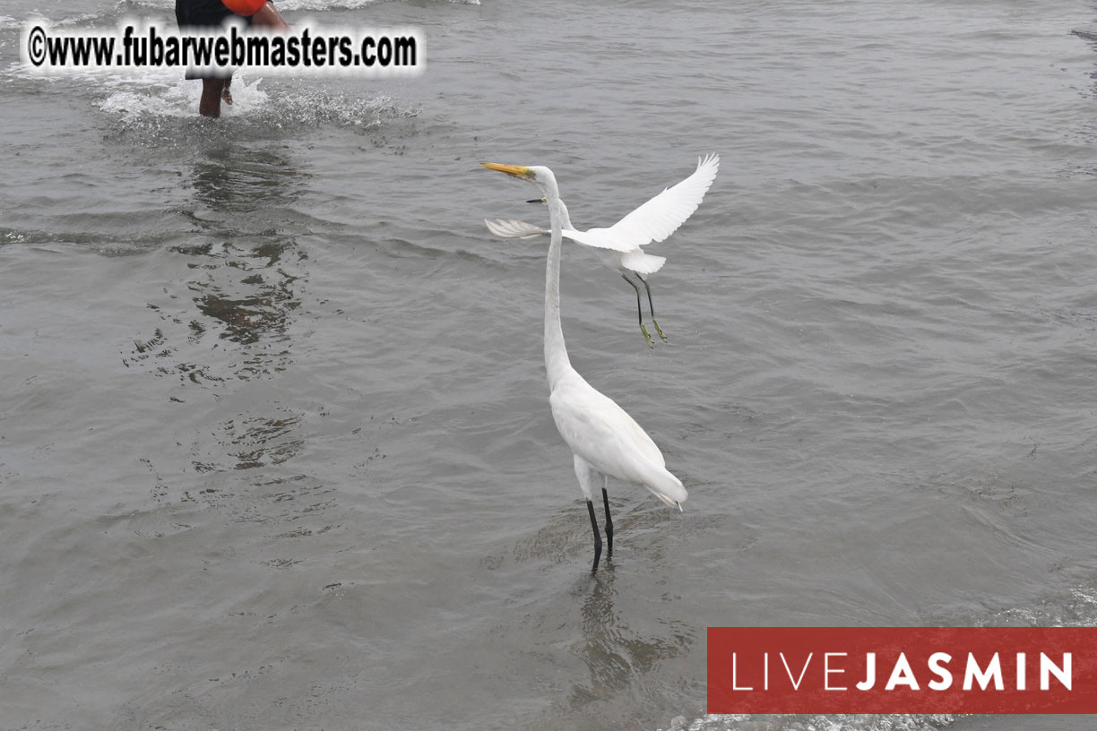 Scenes from around Caragena