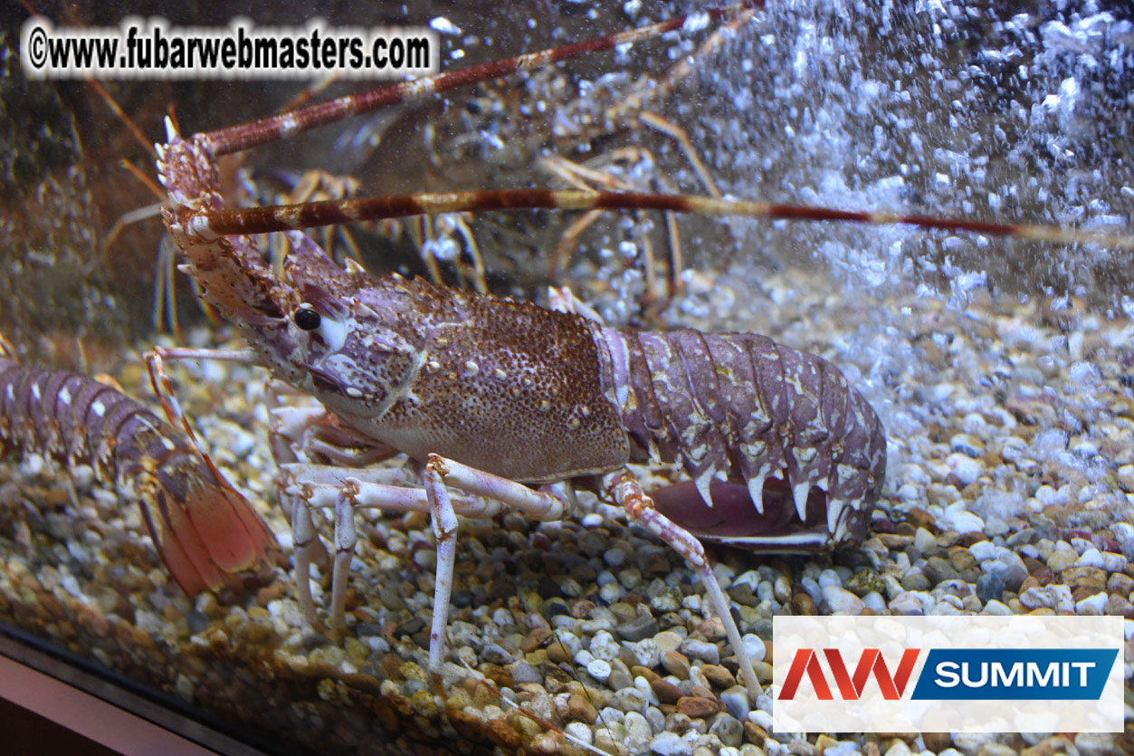 VIP Dinner at Mar do Inferno