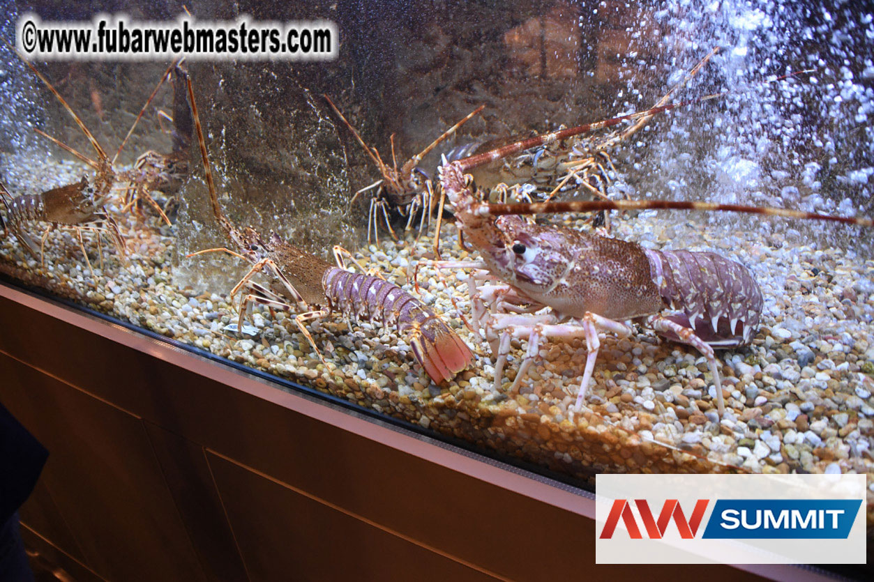 VIP Dinner at Mar do Inferno