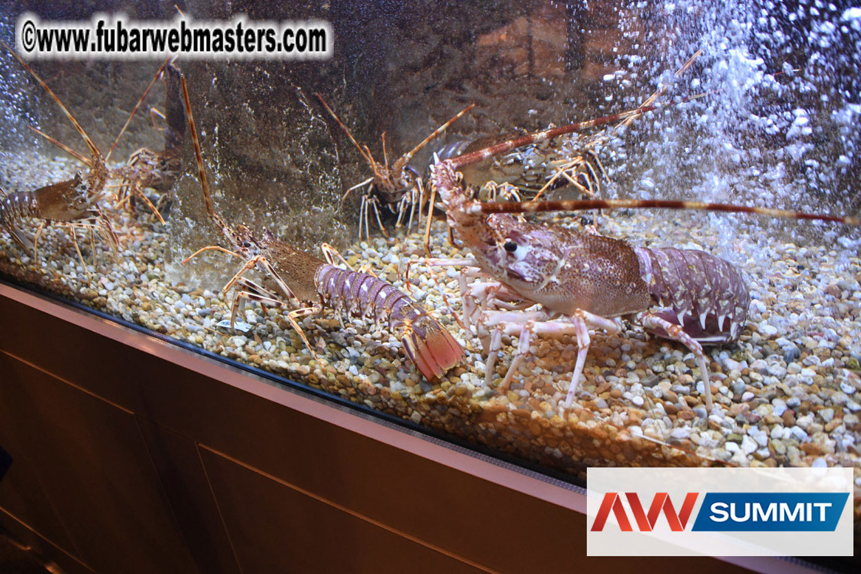 VIP Dinner at Mar do Inferno