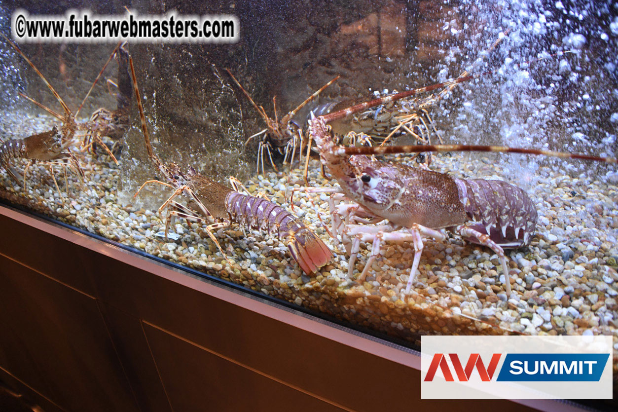 VIP Dinner at Mar do Inferno