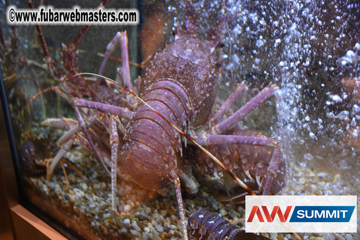 VIP Dinner at Mar do Inferno