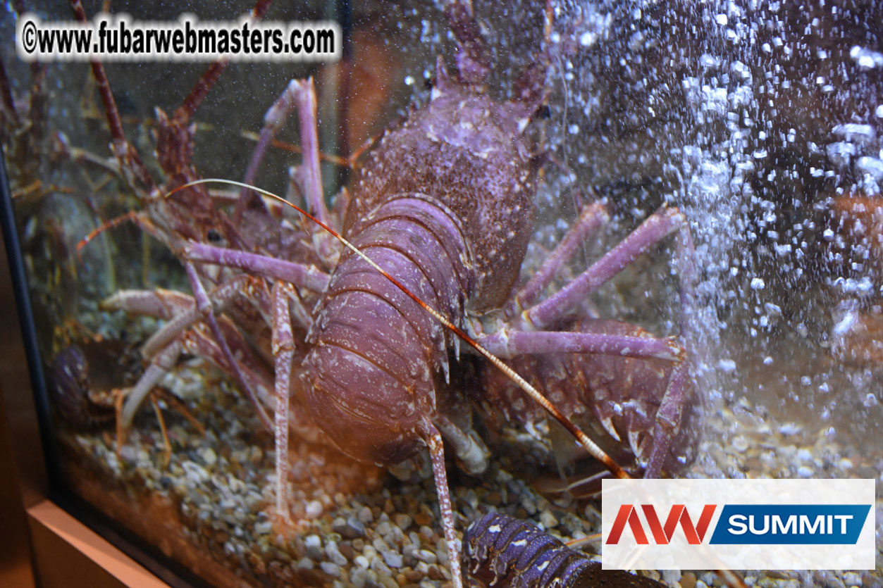 VIP Dinner at Mar do Inferno