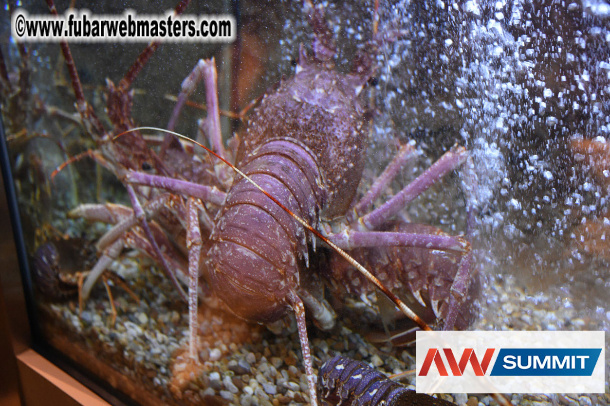 VIP Dinner at Mar do Inferno