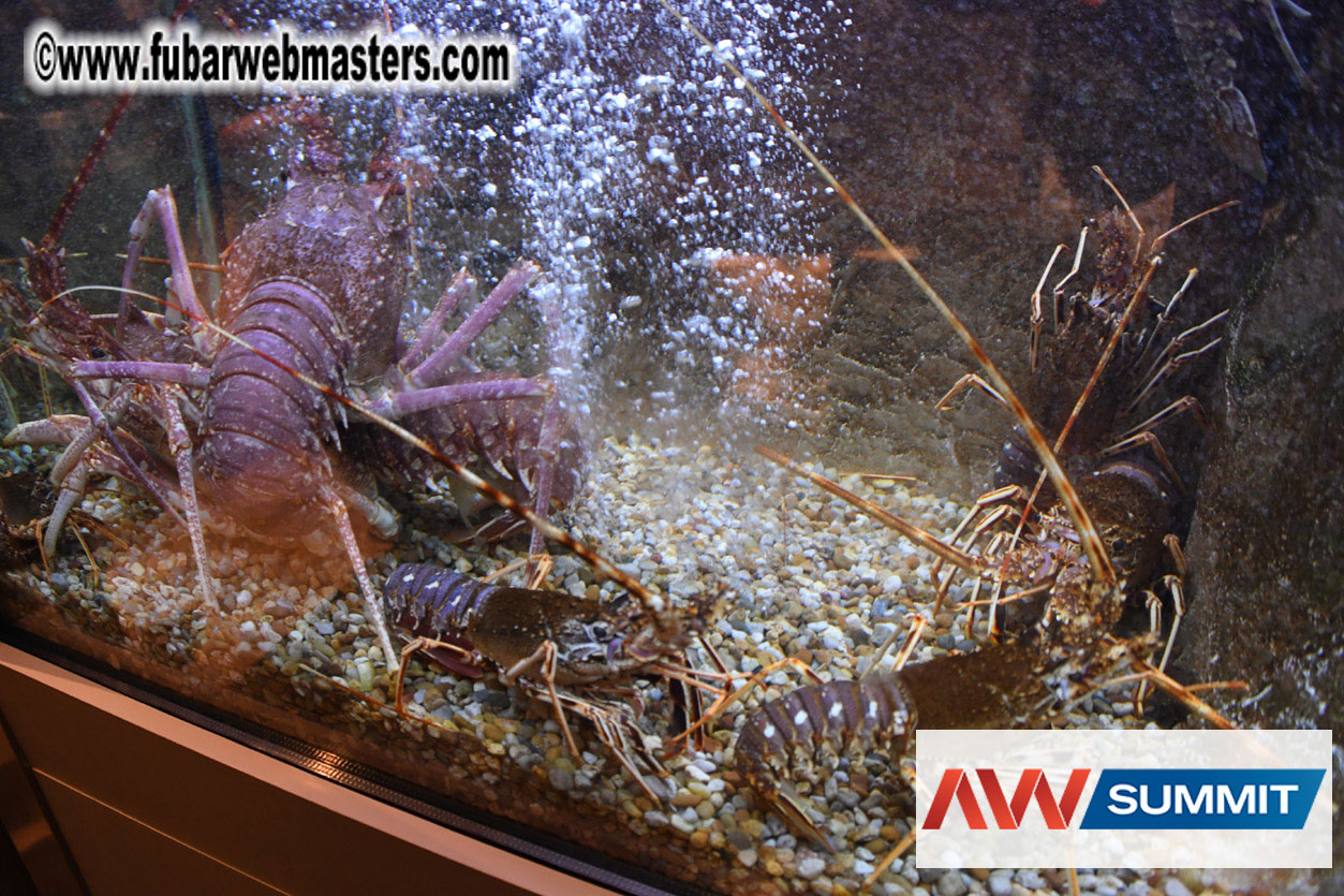 VIP Dinner at Mar do Inferno