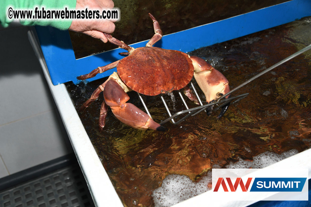 VIP Dinner at Mar do Inferno