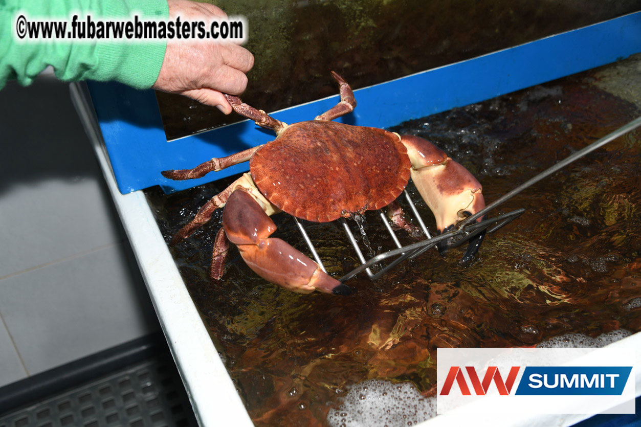 VIP Dinner at Mar do Inferno