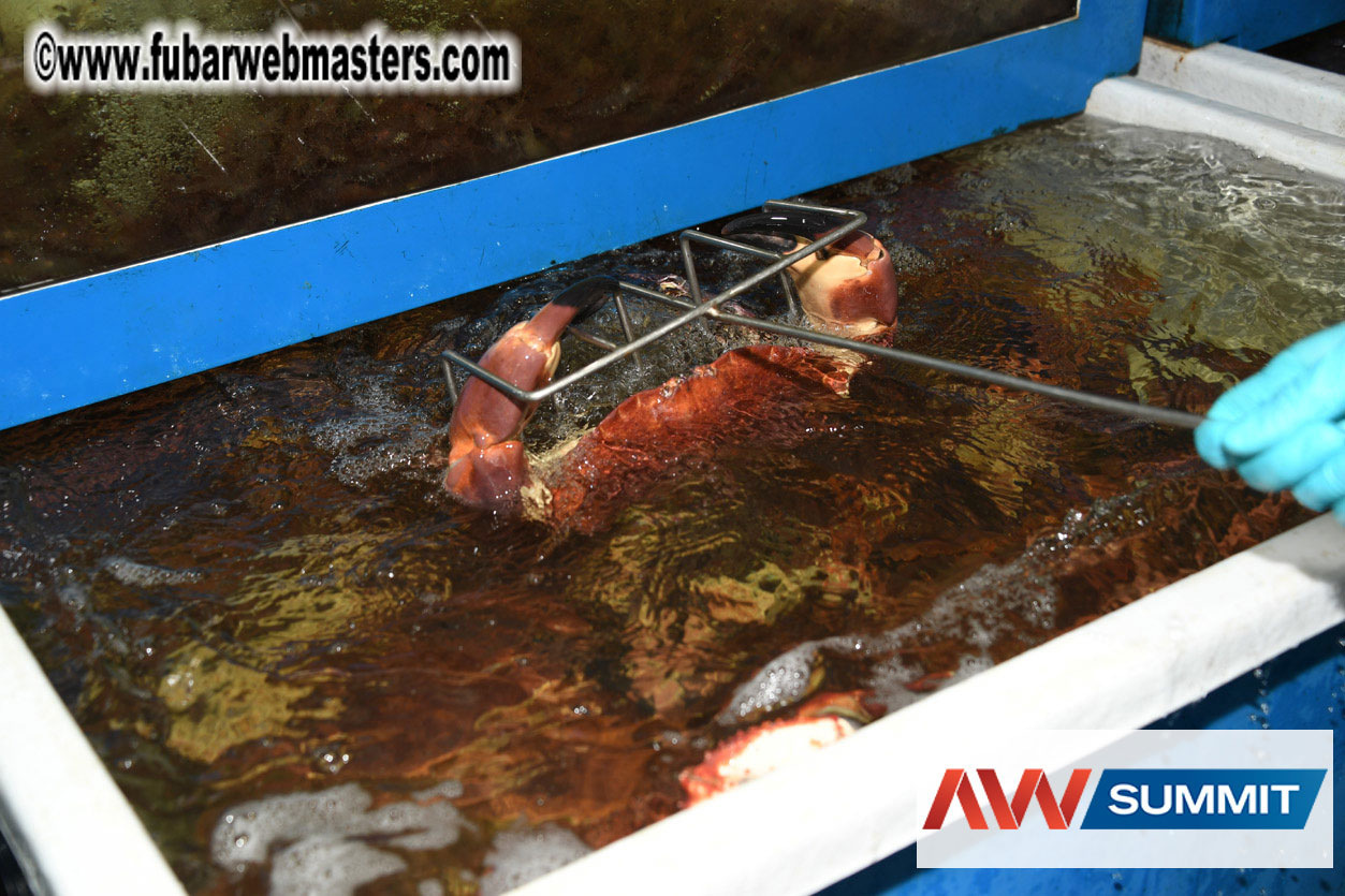 VIP Dinner at Mar do Inferno