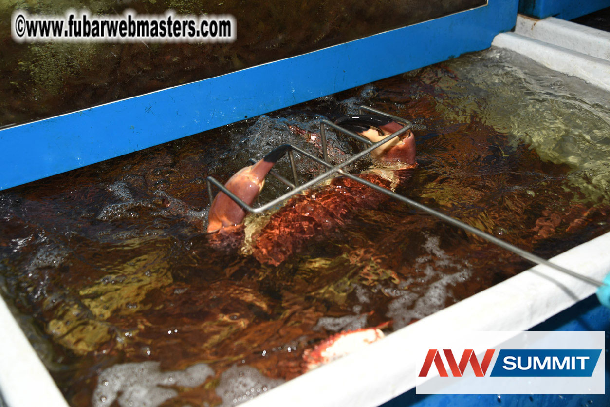 VIP Dinner at Mar do Inferno