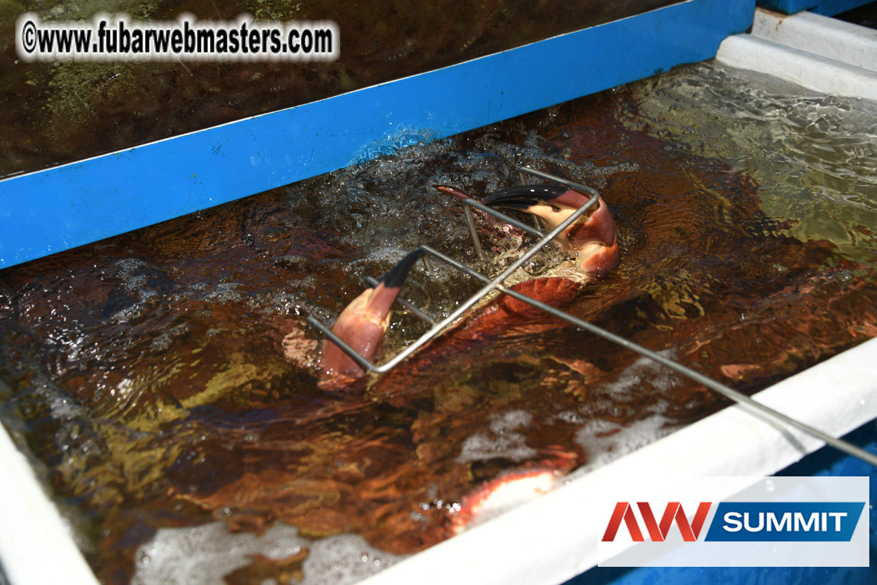 VIP Dinner at Mar do Inferno