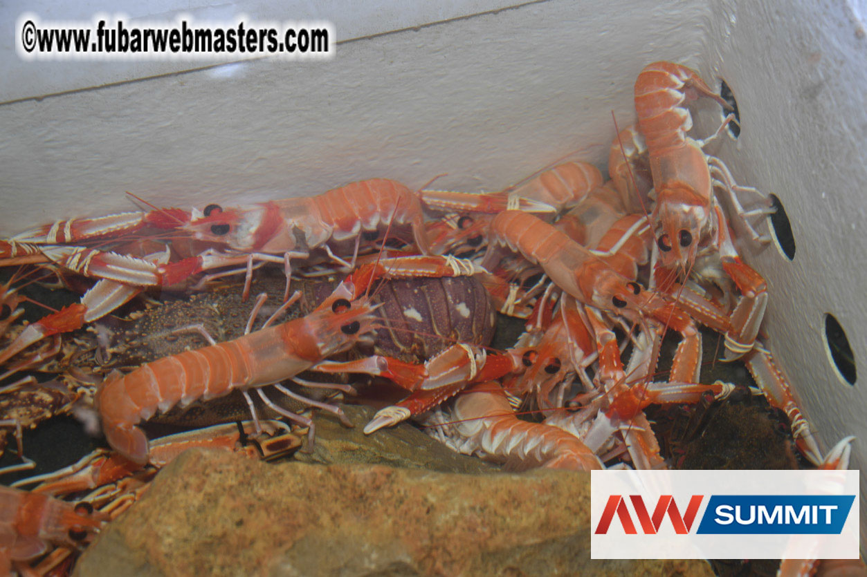 VIP Dinner at Mar do Inferno