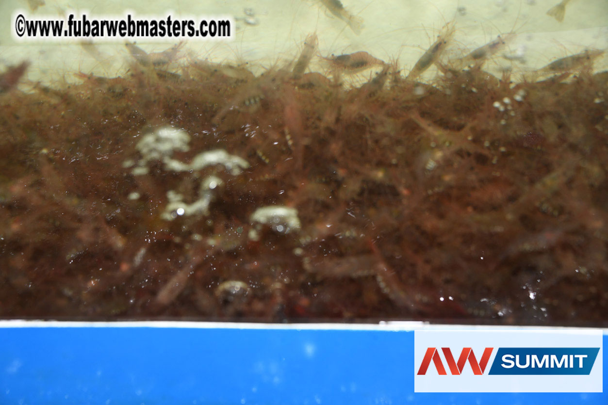 VIP Dinner at Mar do Inferno