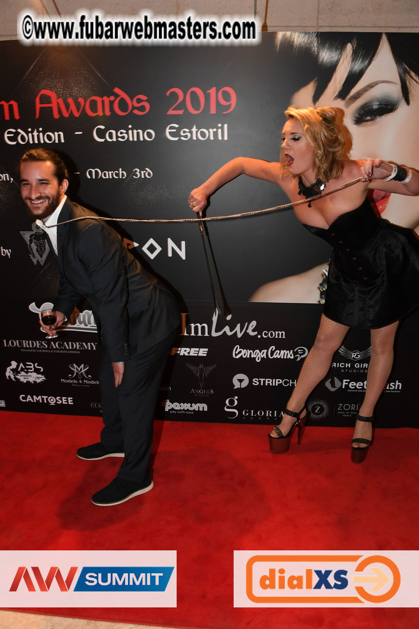 Live Cam Awards Show