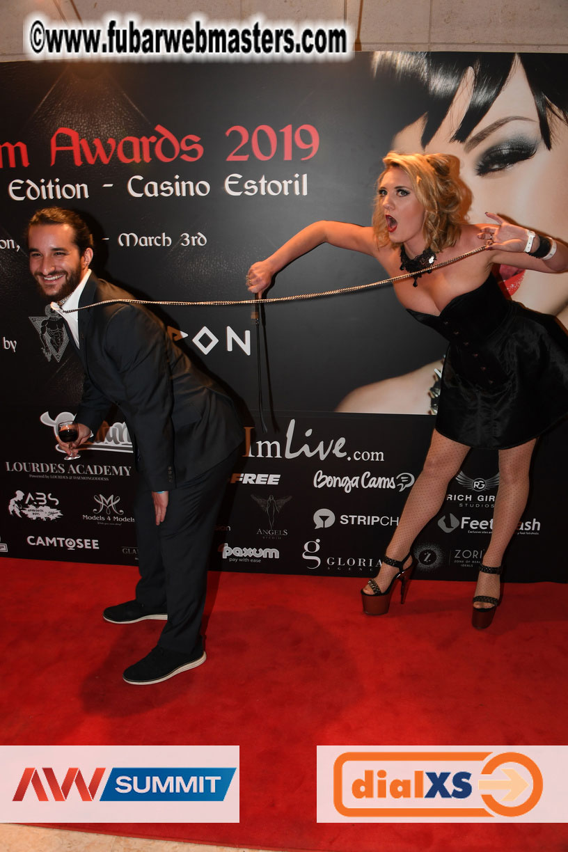 Live Cam Awards Show