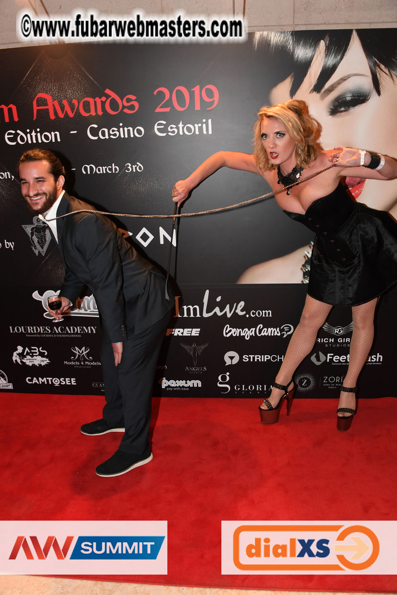 Live Cam Awards Show