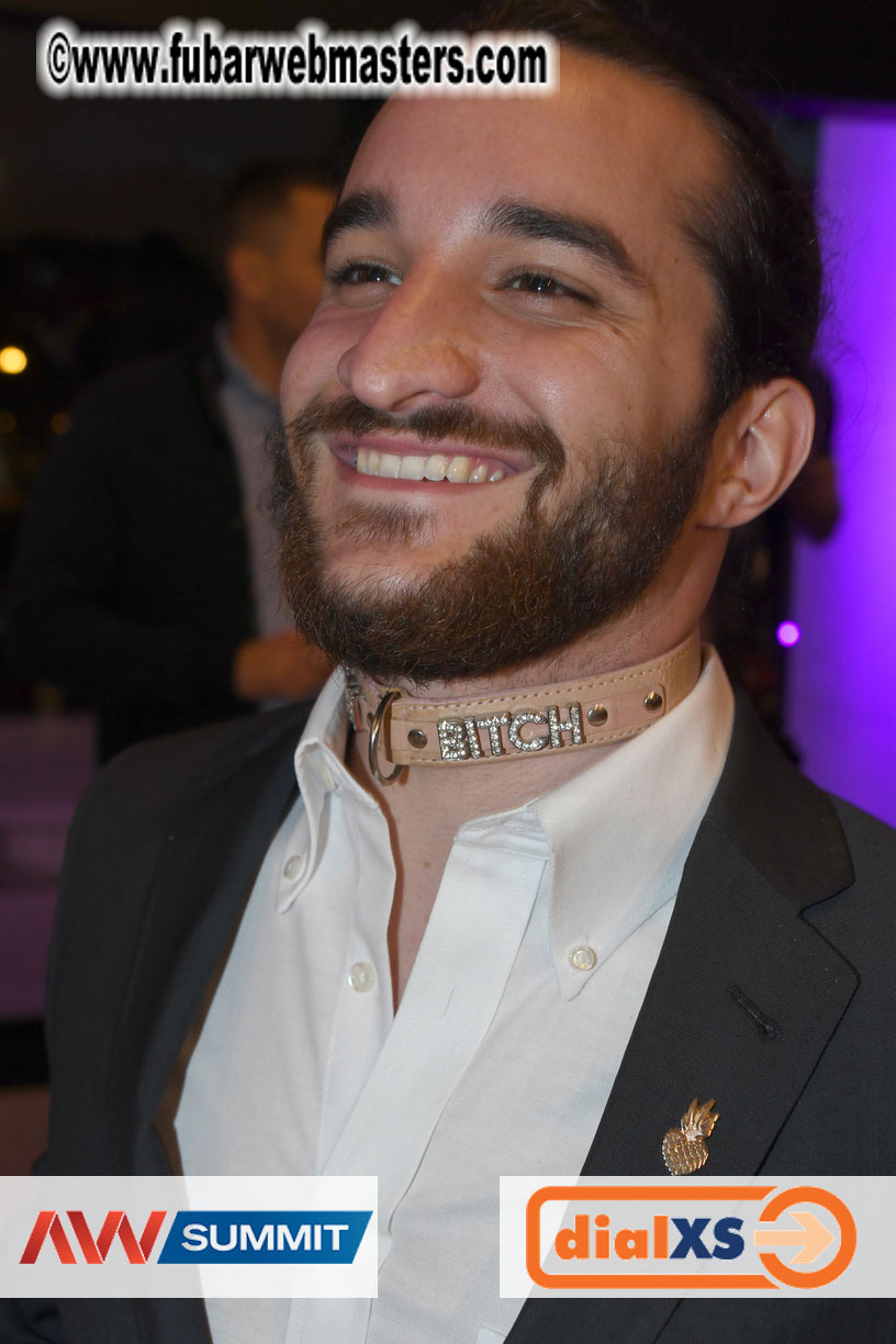 Live Cam Awards Show