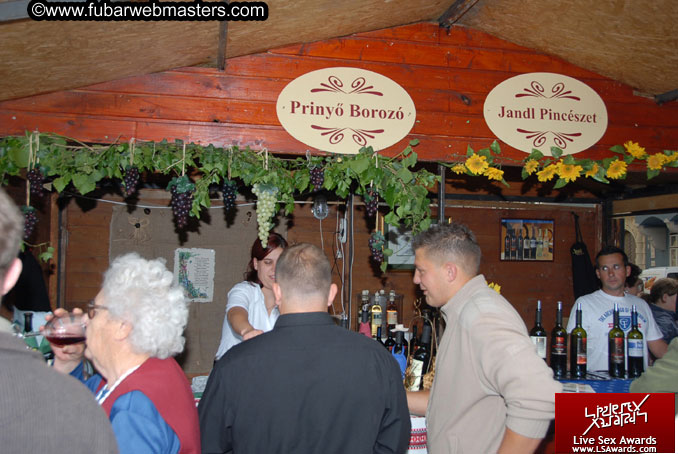 Sopron Wine Festival and Party