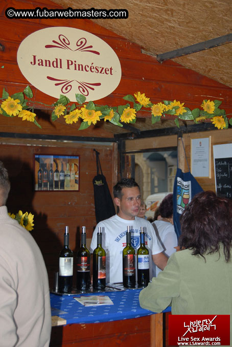 Sopron Wine Festival and Party