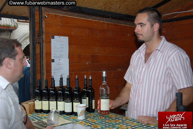 Sopron Wine Festival and Party