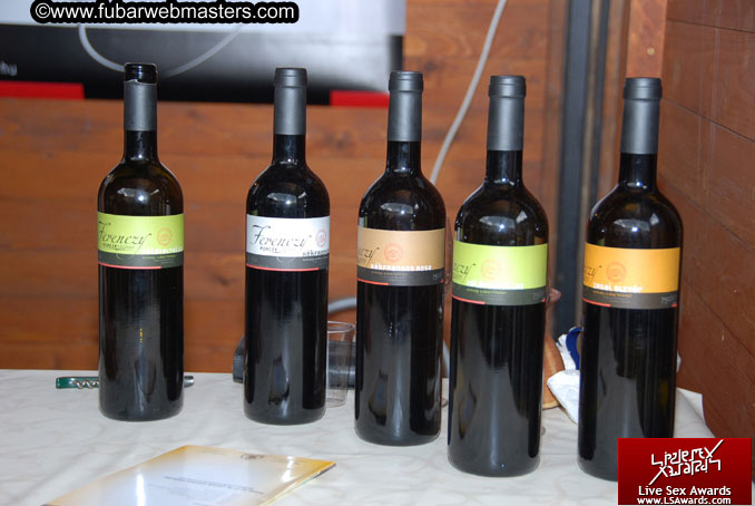 Sopron Wine Festival and Party