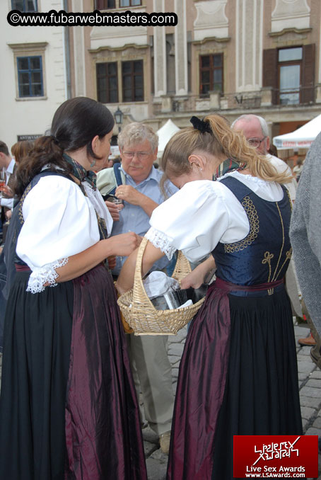 Sopron Wine Festival and Party