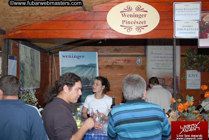 Sopron Wine Festival and Party