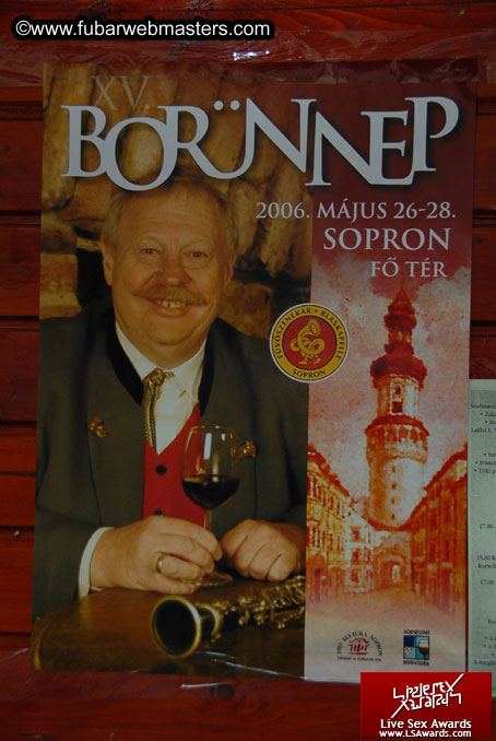 Sopron Wine Festival and Party