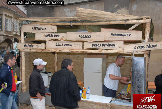 Sopron Wine Festival and Party