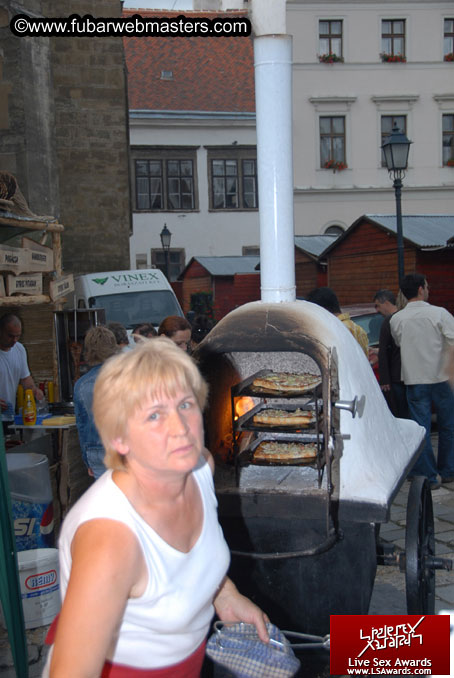 Sopron Wine Festival and Party