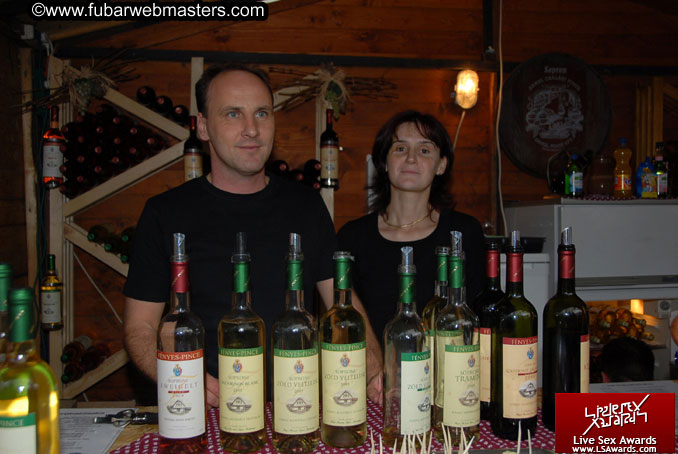 Sopron Wine Festival and Party