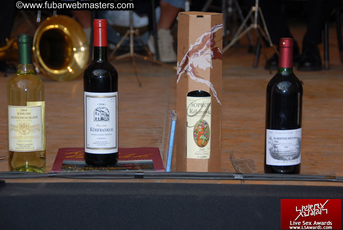 Sopron Wine Festival and Party