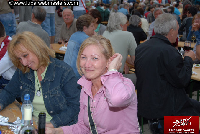 Sopron Wine Festival and Party