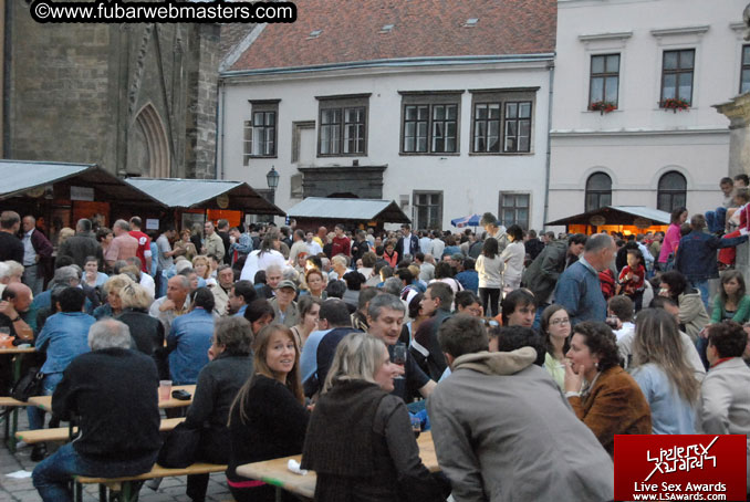Sopron Wine Festival and Party