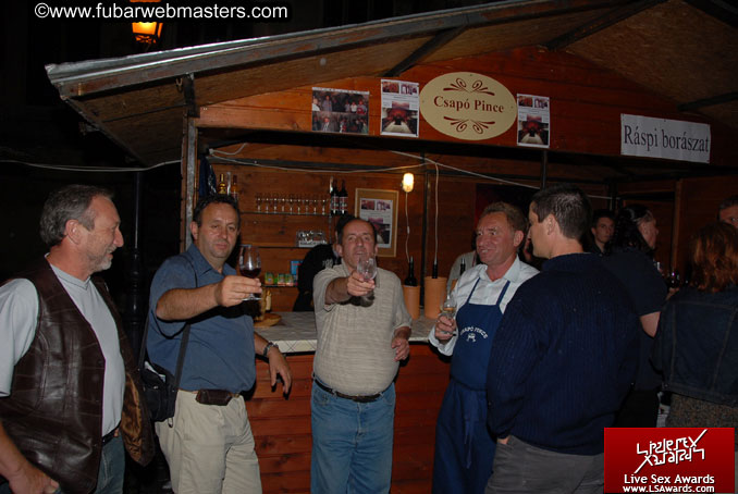 Sopron Wine Festival and Party