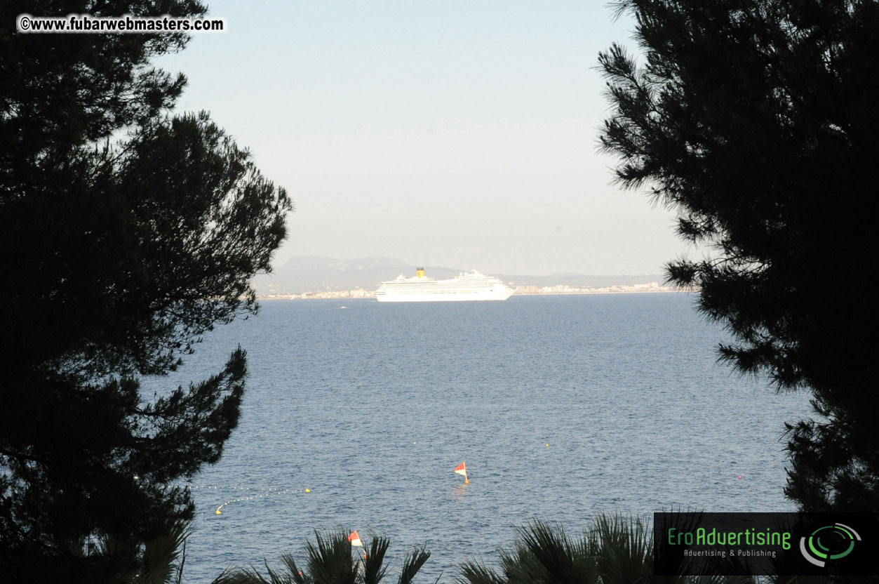 Arrivals, Registration and the Show