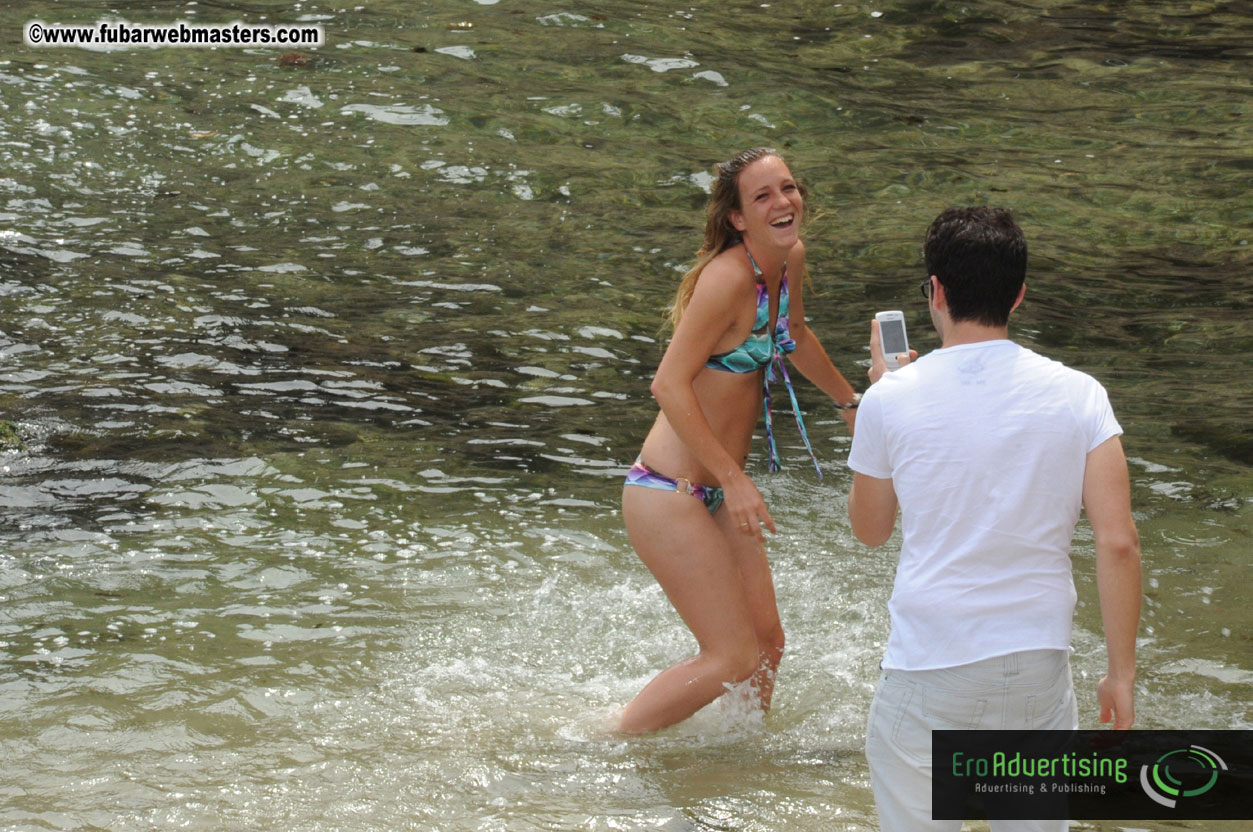 Arrivals, Registration and the Show