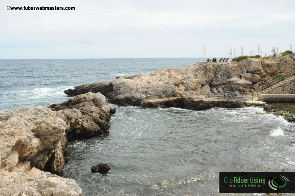 Arrivals, Registration and the Show