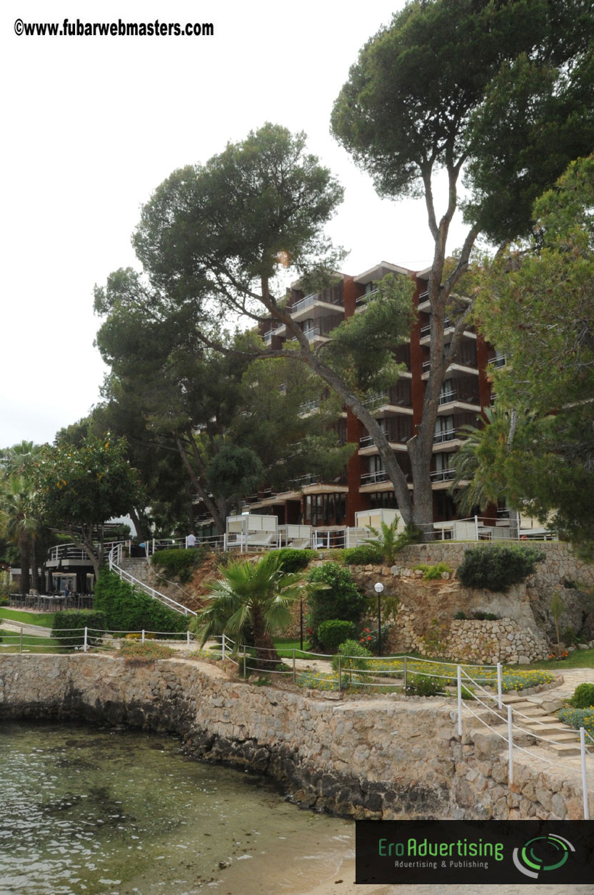 Arrivals, Registration and the Show