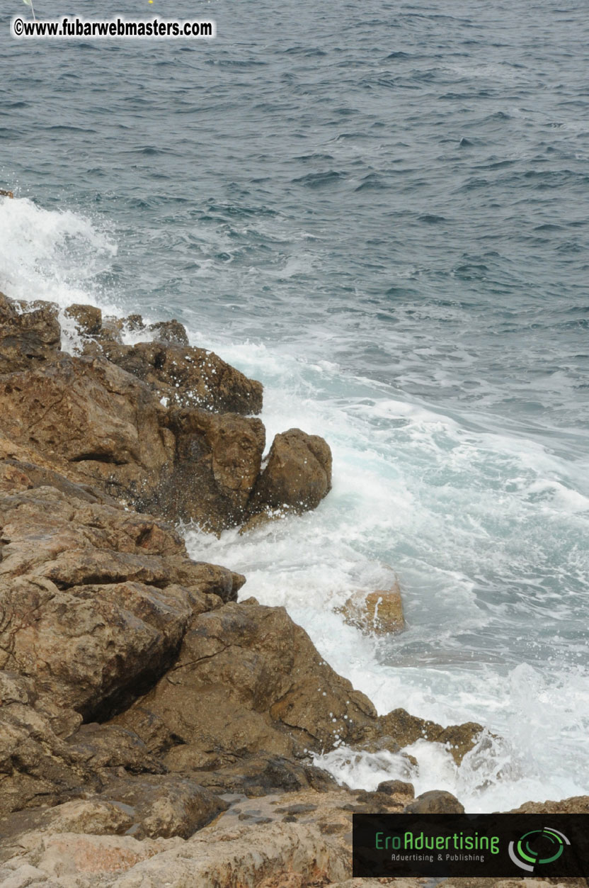 Arrivals, Registration and the Show