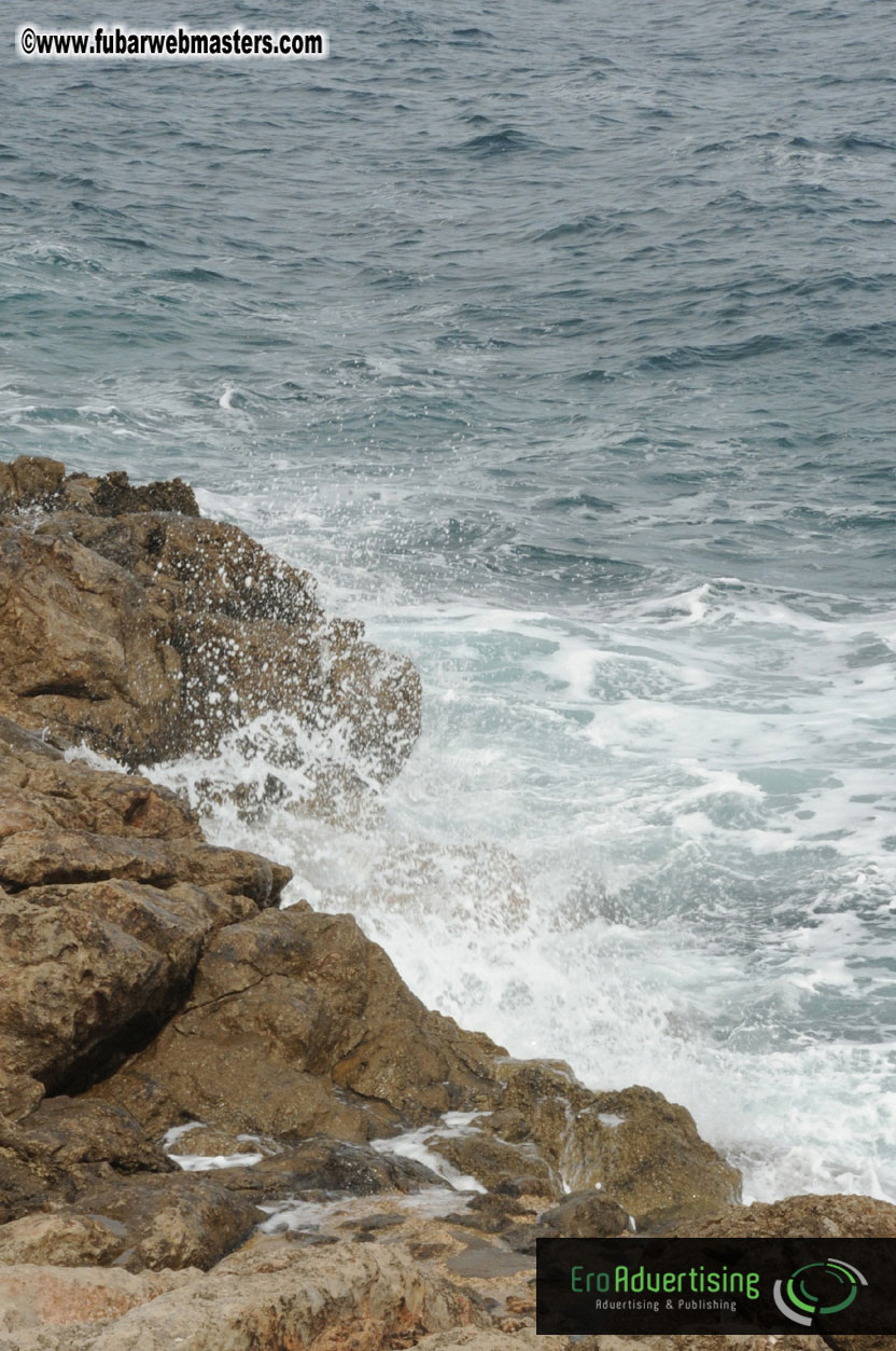 Arrivals, Registration and the Show