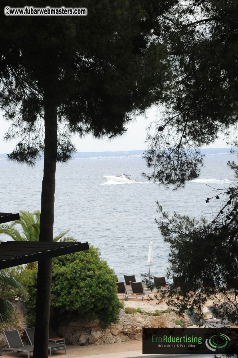 Arrivals, Registration and the Show