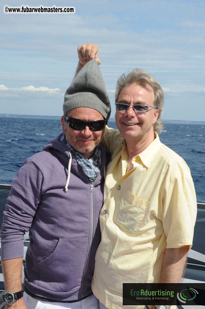 Boat Trip on the Catamaran