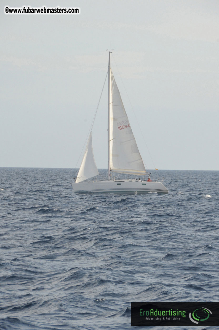 Boat Trip on the Catamaran