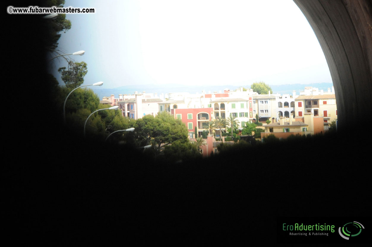 MOMO Afternoon Webmaster Party & BBQ